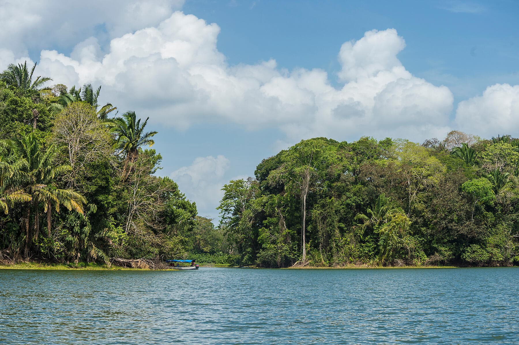 Canal de Panama et joyaux d’Amérique centrale  