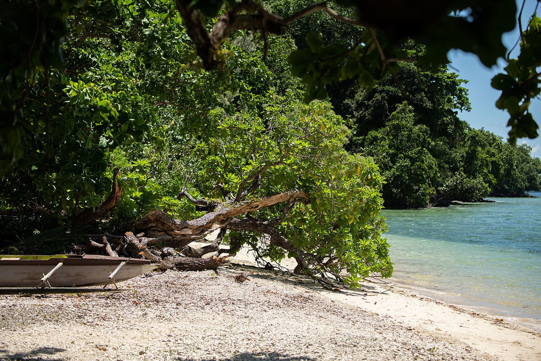 Îles et cultures de Papouasie-Nouvelle-Guinée 