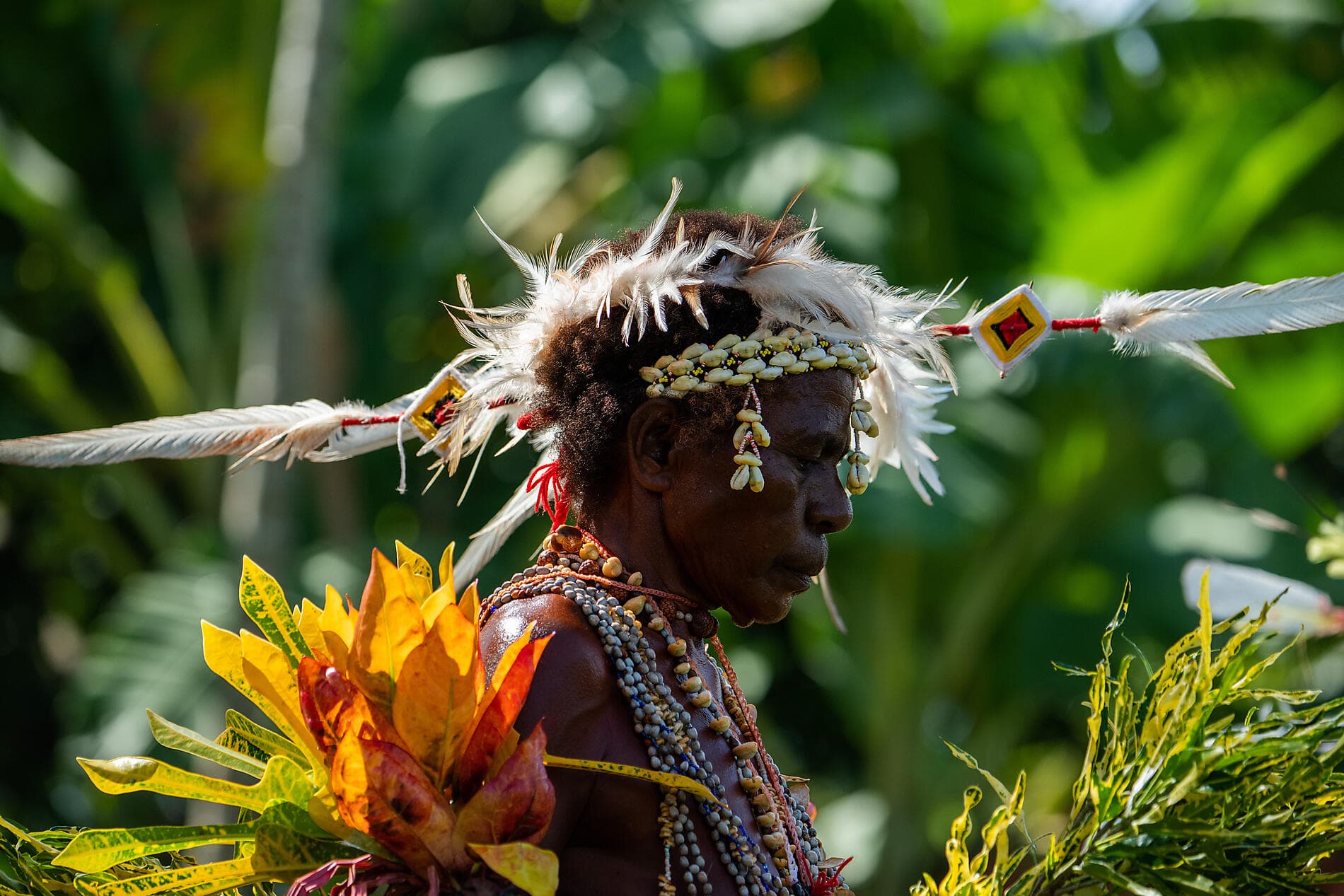 Îles et cultures de Papouasie-Nouvelle-Guinée 