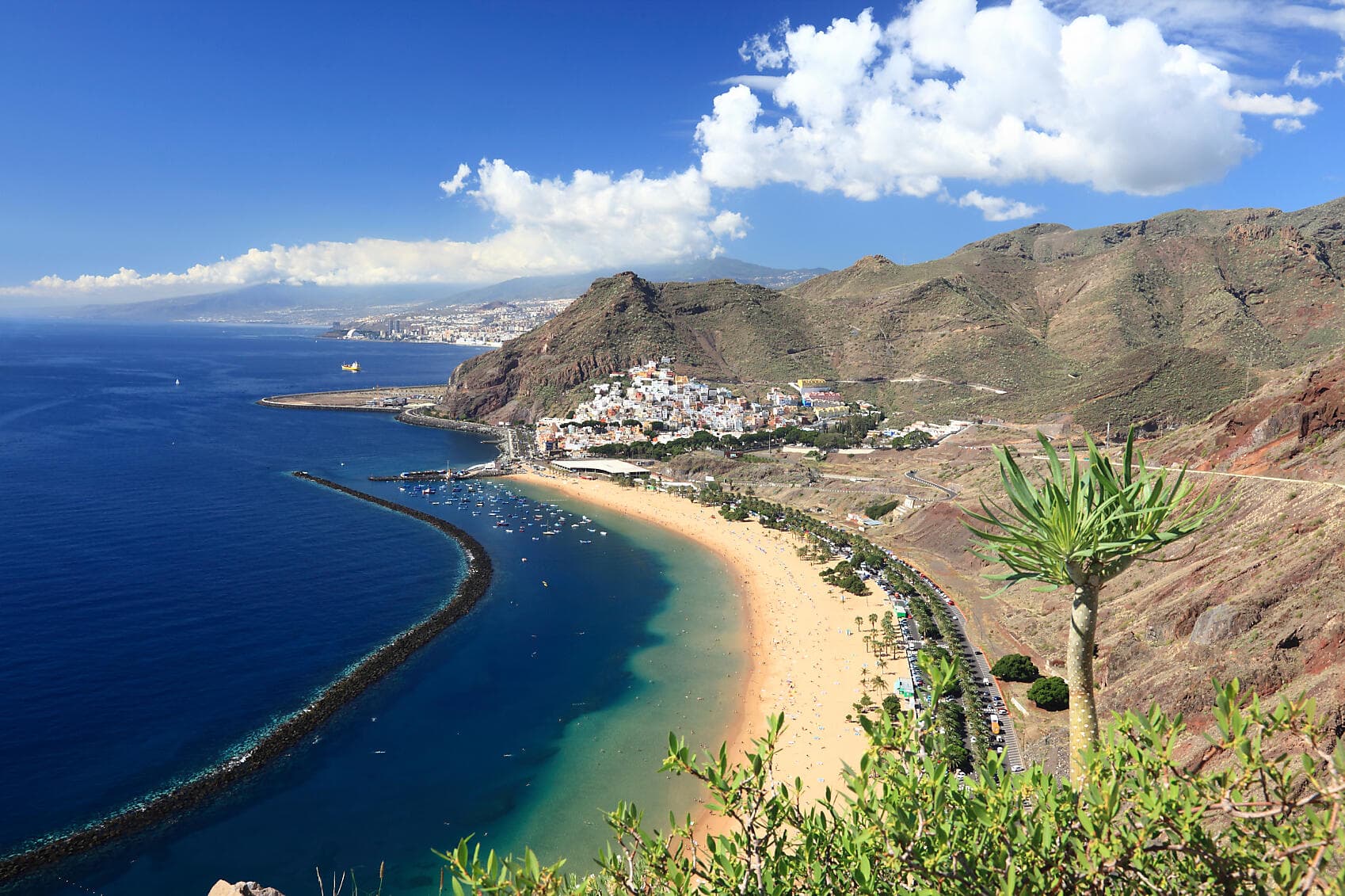 Les Canaries, terres de contrastes 