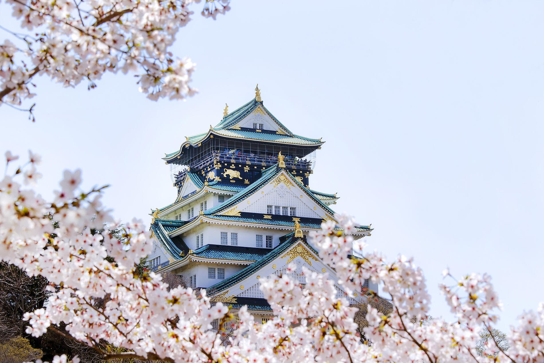 L’essentiel du Japon 
