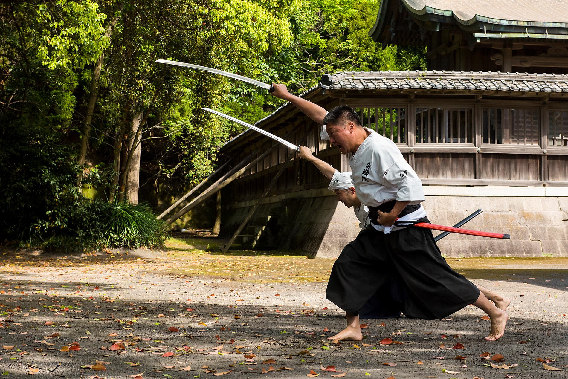 L’essentiel du Japon 