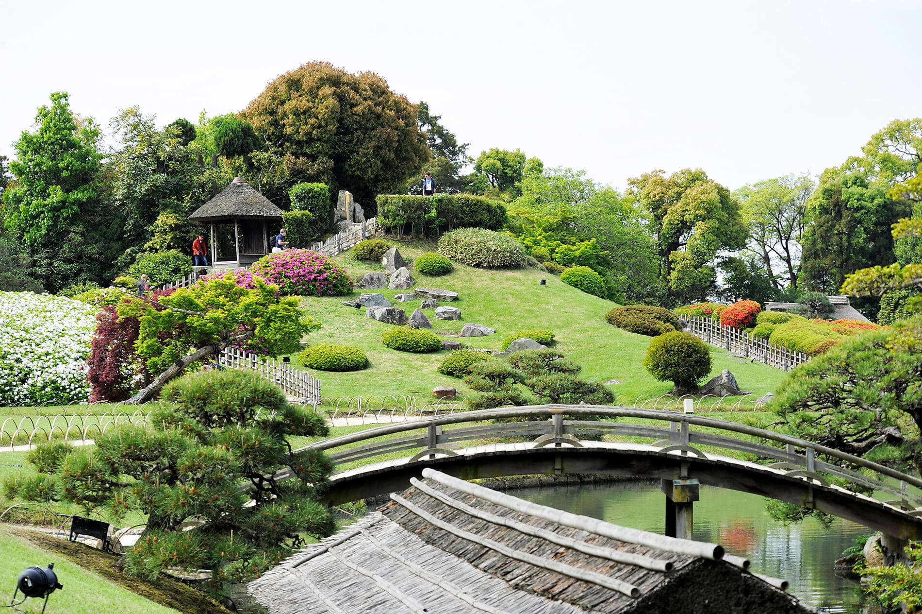 L’essentiel du Japon 