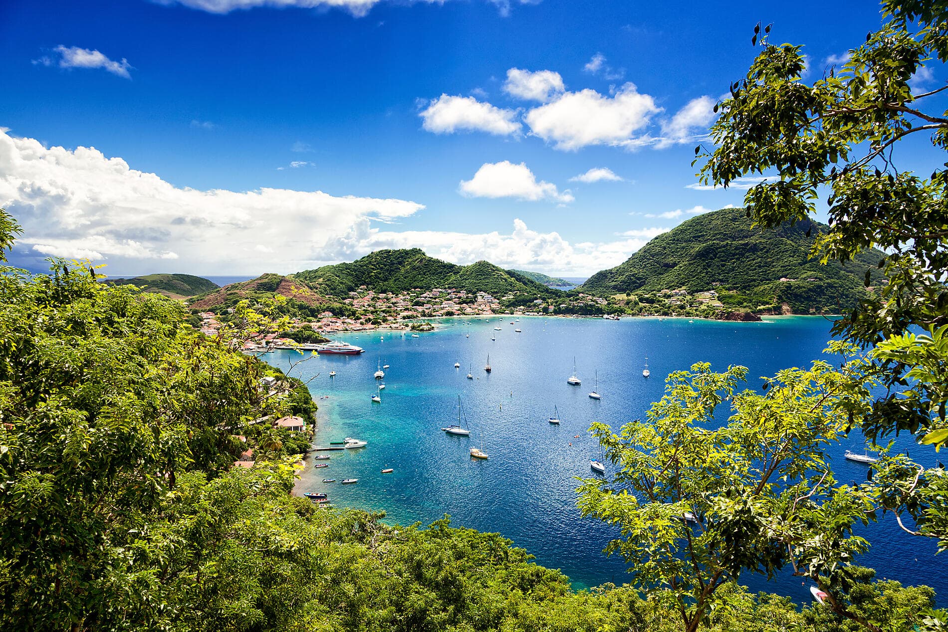 Perles des Antilles 