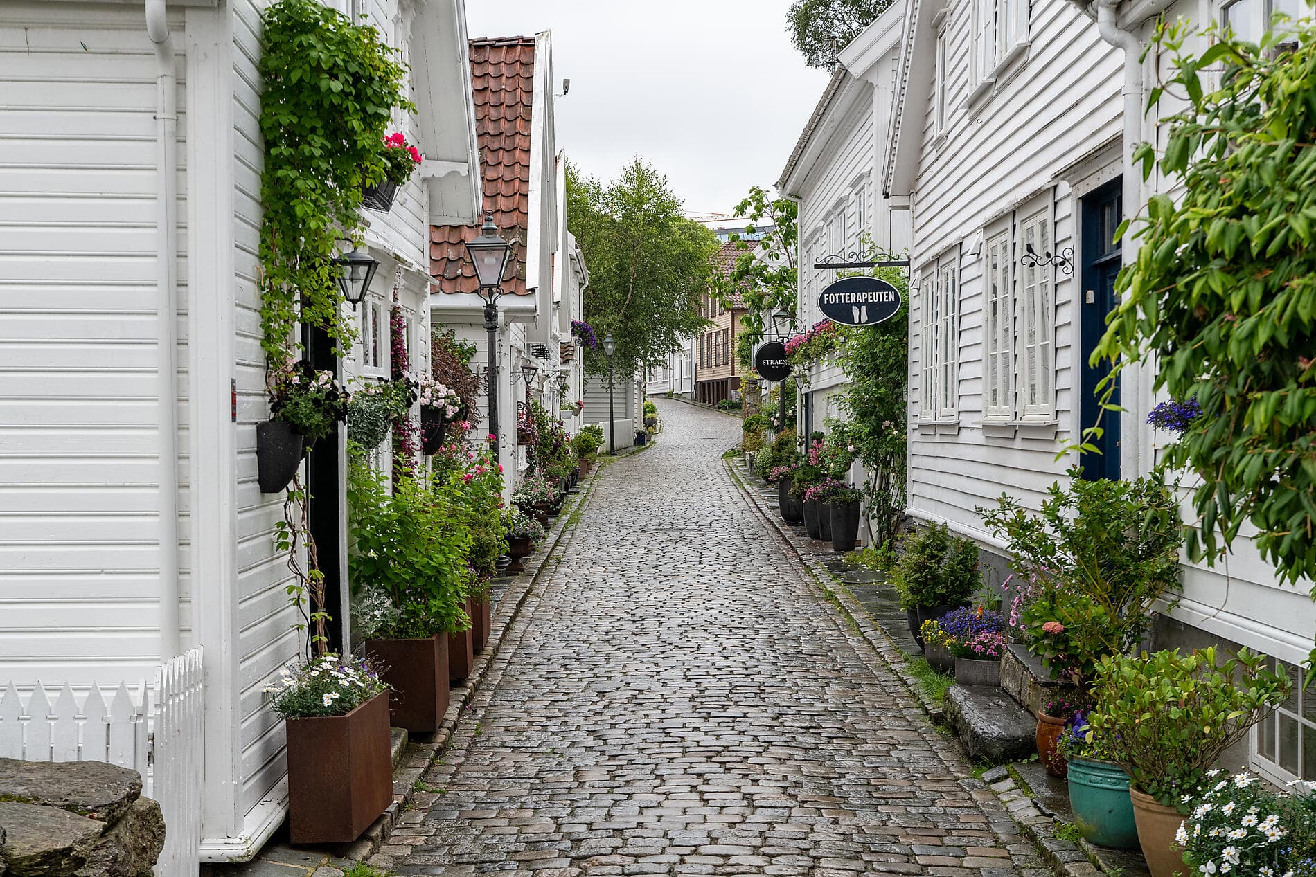 Trésors des mers du Nord et de Norvège 