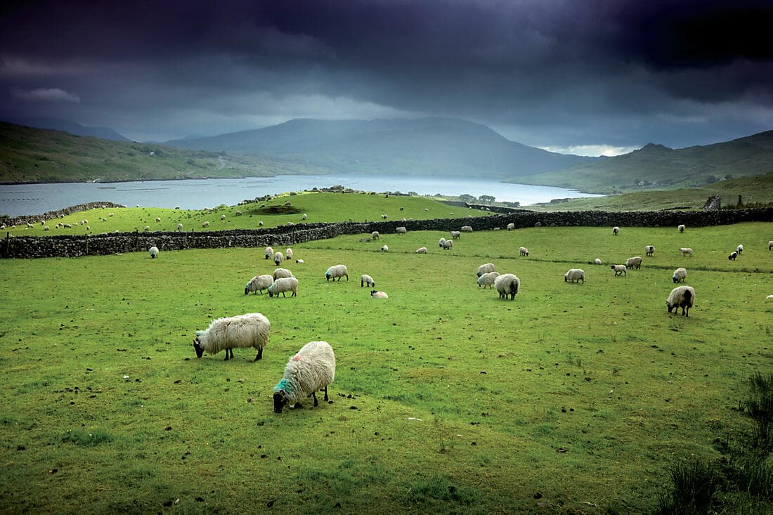 LA BEAUTÉ SAUVAGE DE L'OUEST IRLANDAIS ET DU CONNEMARA (4 NUITS)