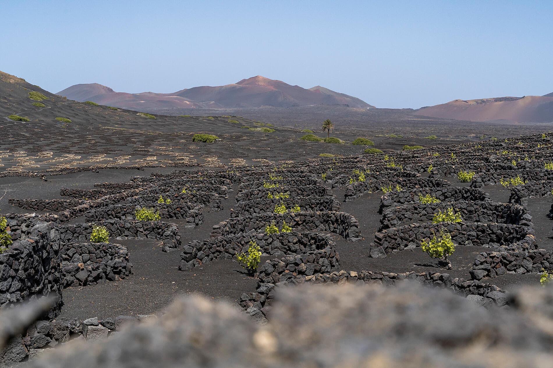 Îles volcaniques et cités historiques de l'Atlantique Nord