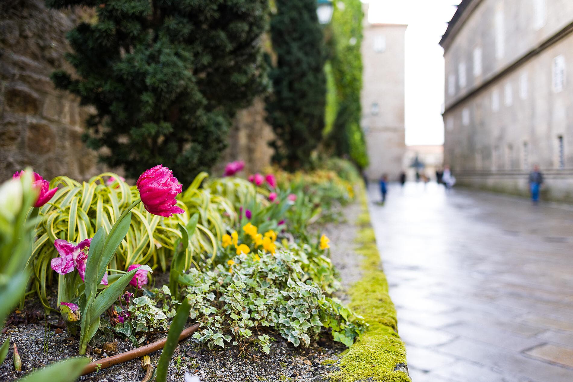 Péninsule ibérique et cités fortifiées d'Atlantique
