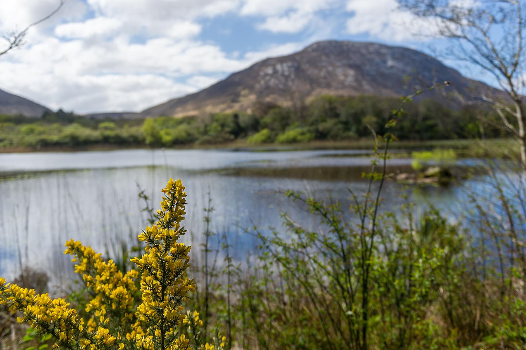 Autour de l’île d’Émeraude
