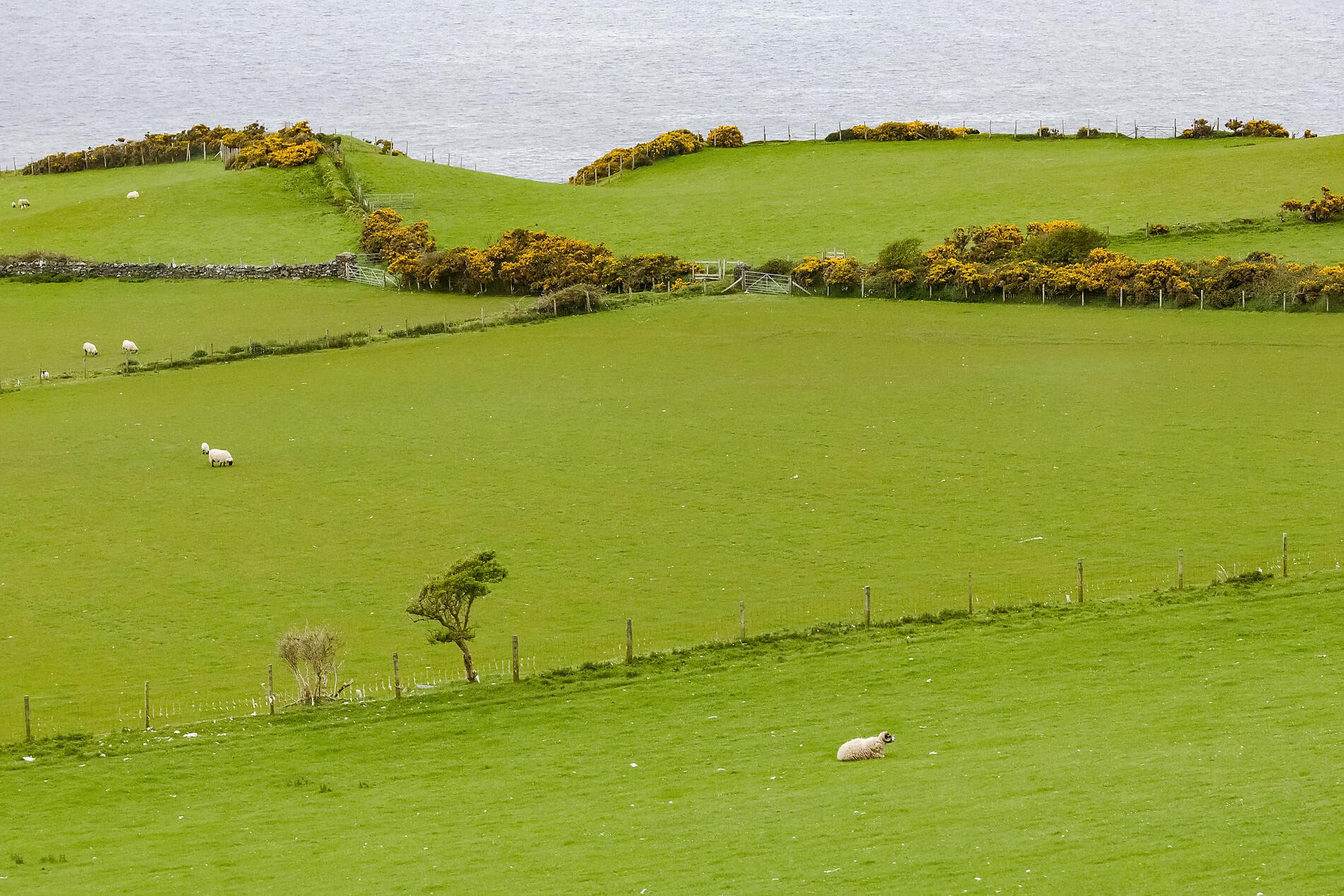 De l'Irlande à l'Ecosse : voyage en terres celtiques