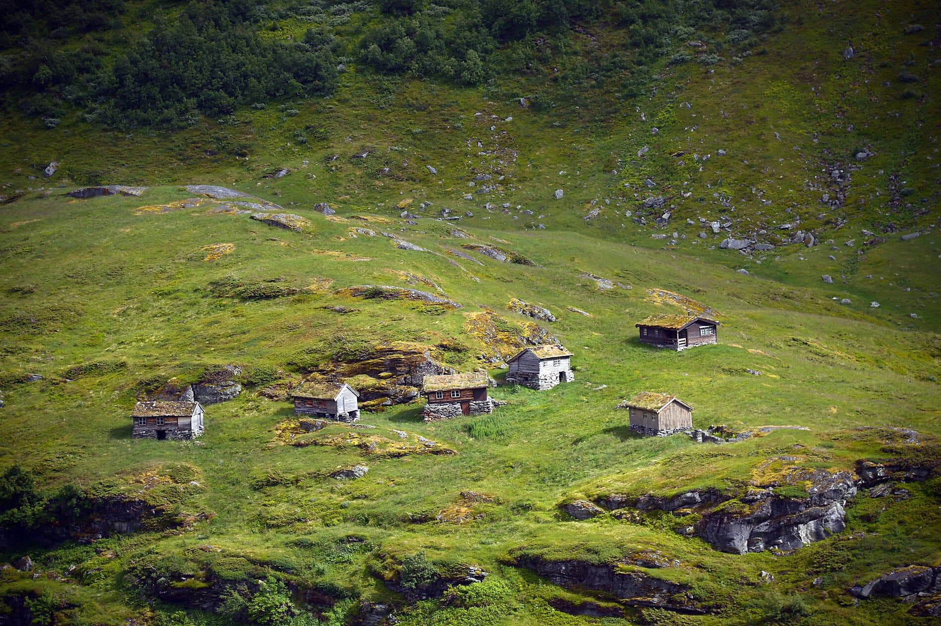 Cités scandinaves et fjords norvégiens
