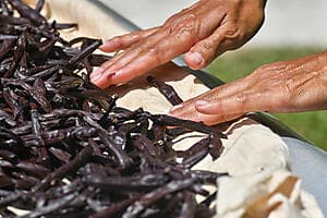 Découverte de Taha'a