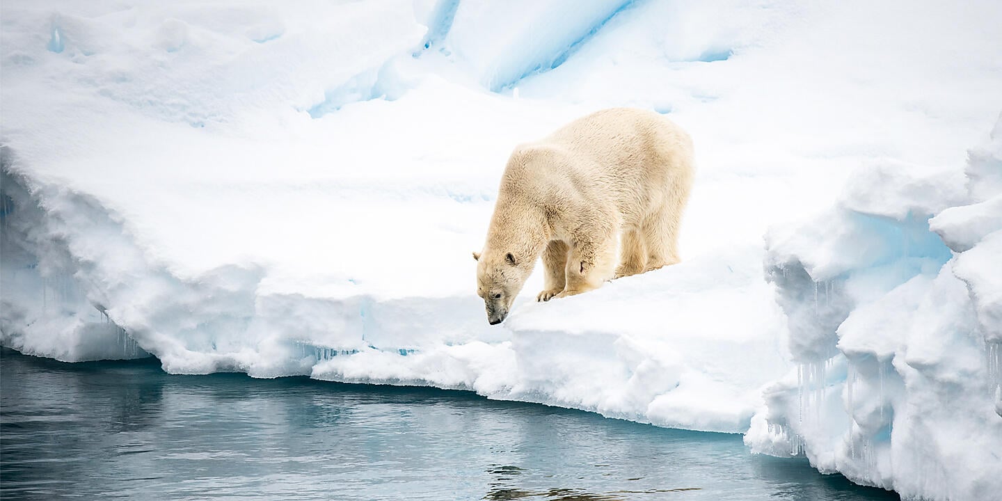 Au cœur des glaces de l'Arctique, du Svalbard au Groenland Au cœur des glaces de l'Arctique, du Svalbard au Groenland
