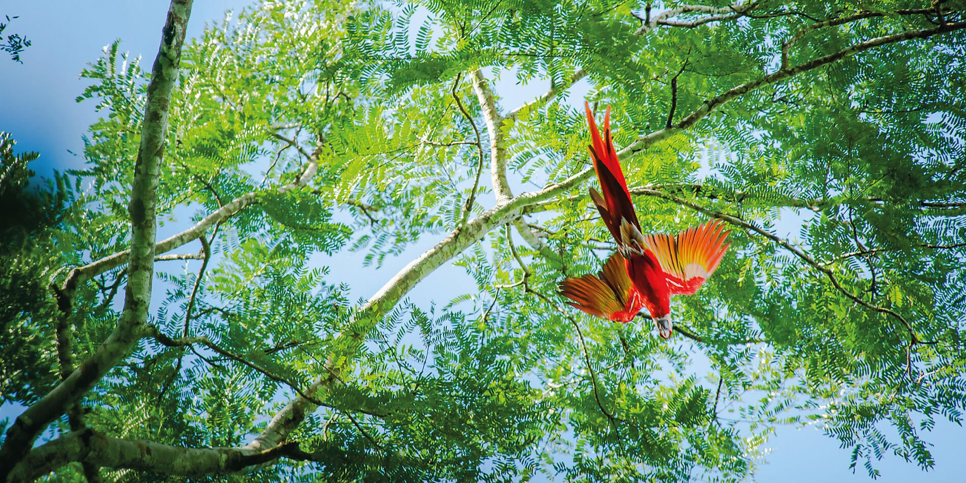 Canal de Panama et joyaux d'Amérique centrale Canal de Panama et joyaux d'Amérique centrale