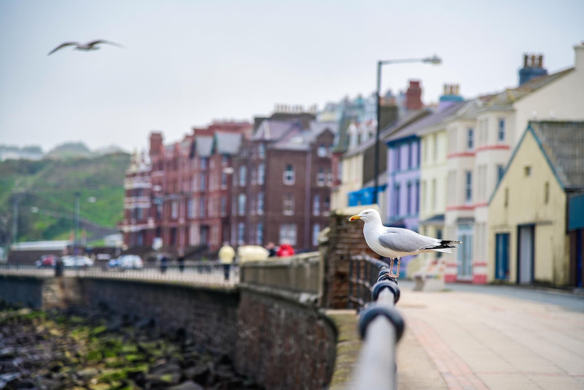 De l'Irlande à l'Ecosse : voyage en terres celtiques