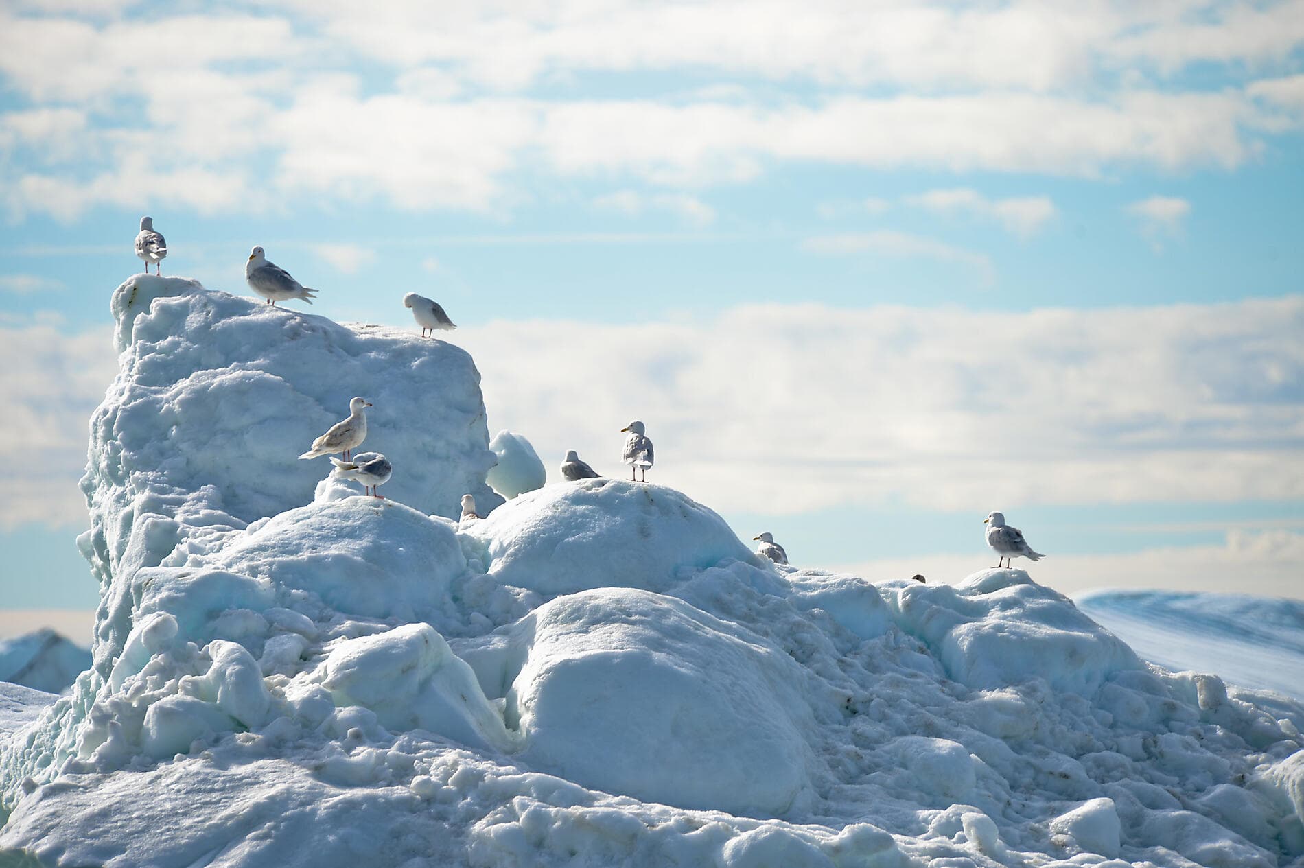 Printemps arctique entre glaces et communautés inuites