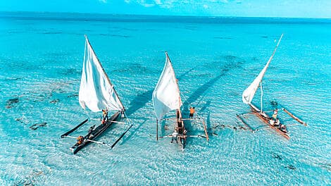 14 Févr 26 - Zanzibar