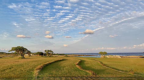8 Mars 26 - Kikaijima