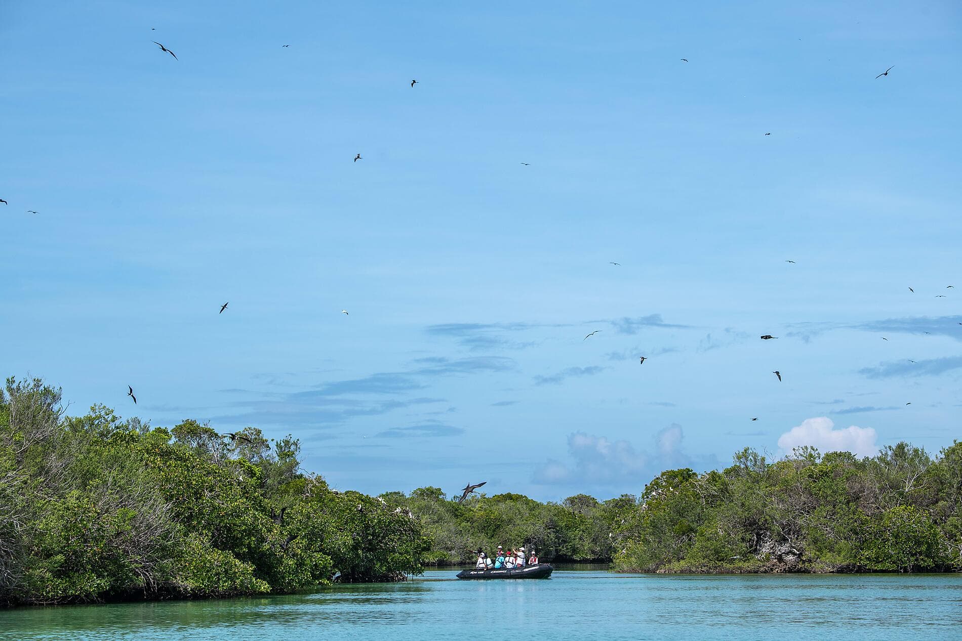Zanzibar, Aldabra et trésors de l'océan Indien