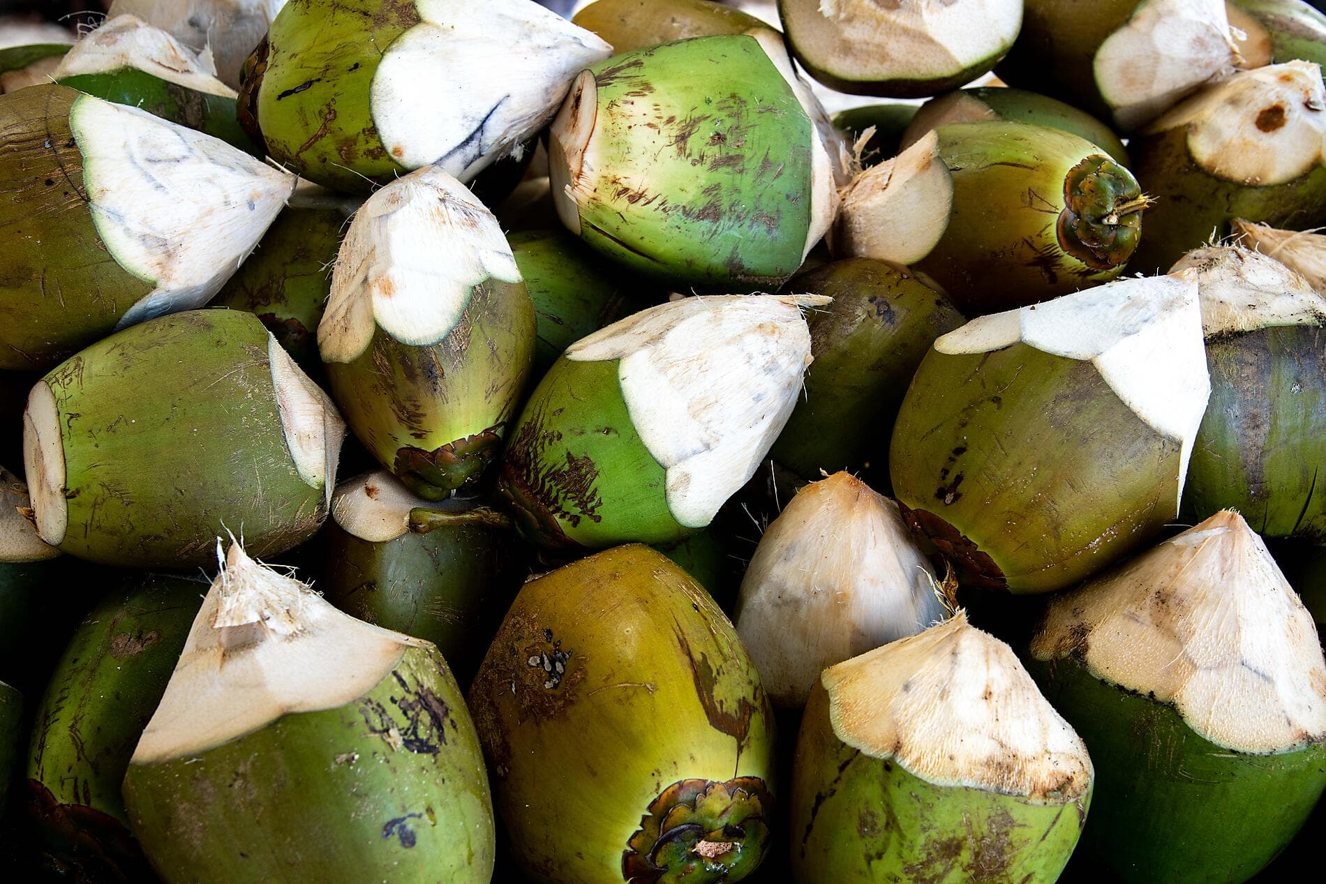 Zanzibar, Aldabra et trésors de l'océan Indien