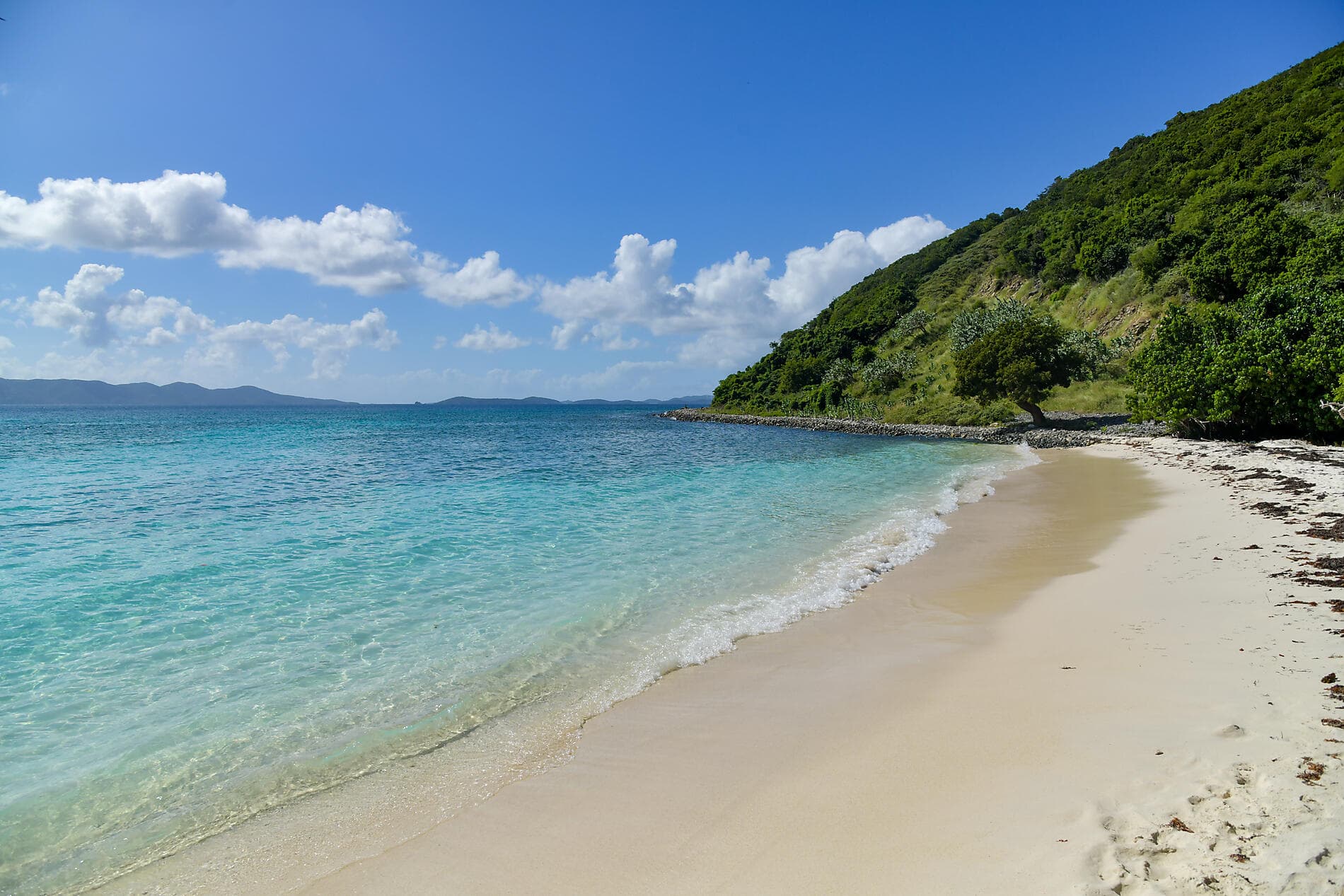 Rêverie sous voiles au cœur des petites Antilles