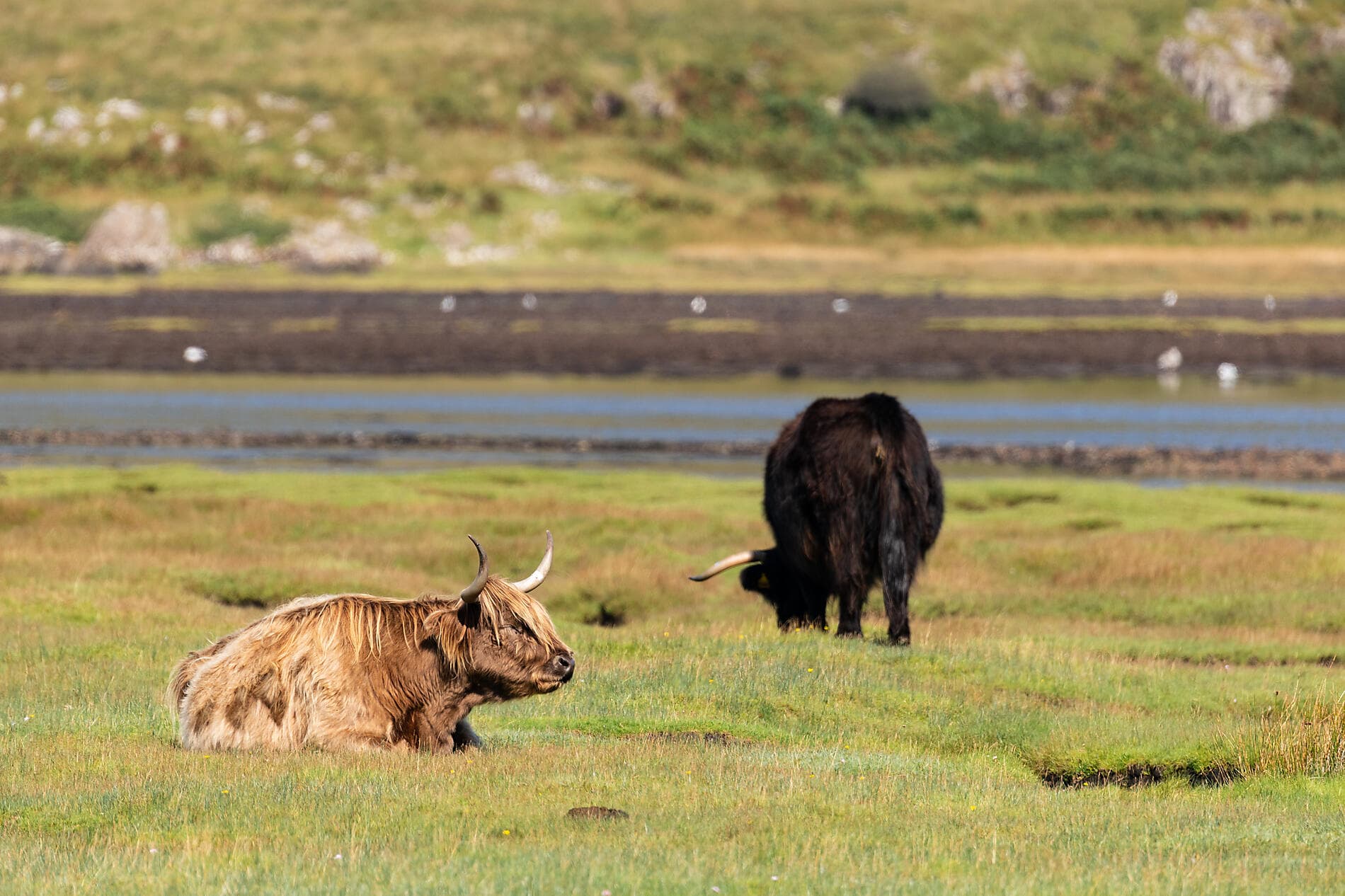 Secrets et paysages celtes