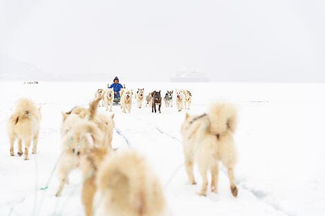 5 Août 26 - Qeqertarsuaq