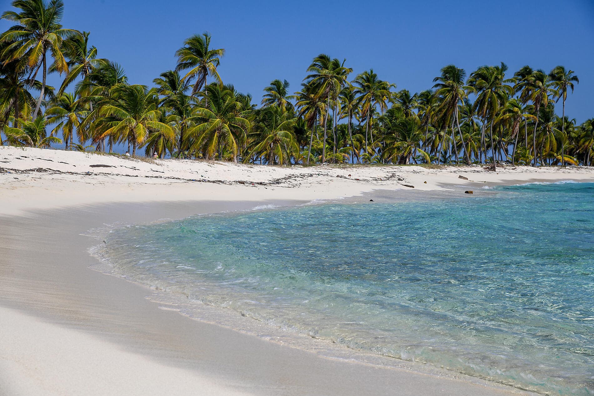 Sanctuaires naturels et rencontres caribéennes